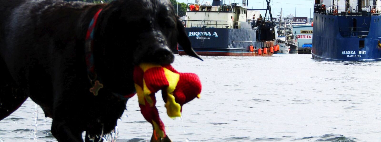 Seattle Easter Boat Parade, Lake Union, WA, SYC, Opening Day Boating, NW Yachting, Salty Dog Boating